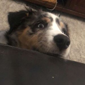 Meet your Posher, Alejandro